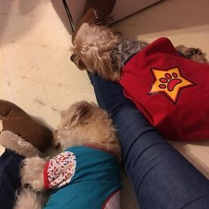 Meet your Posher, Marisol